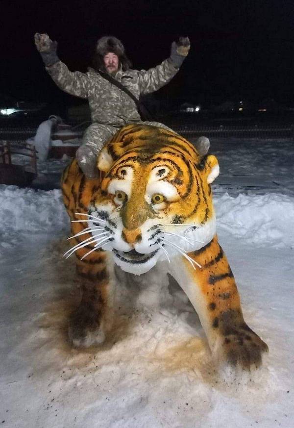 daily picdump 37 pics 4.html - 37 HD Photos | Premium Gallery 2026