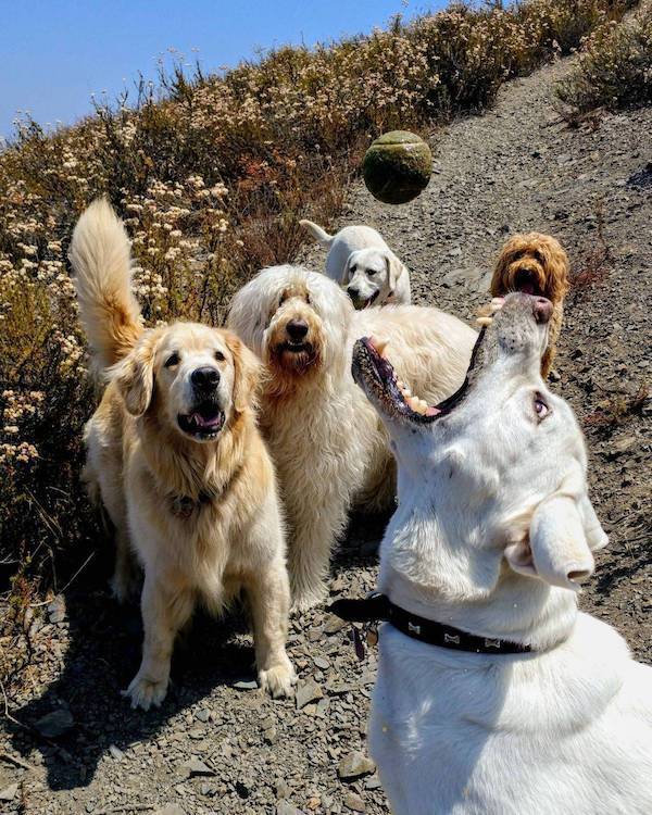 daily picdump 37 pics 4.html - 37 HD Photos | Premium Gallery 2026