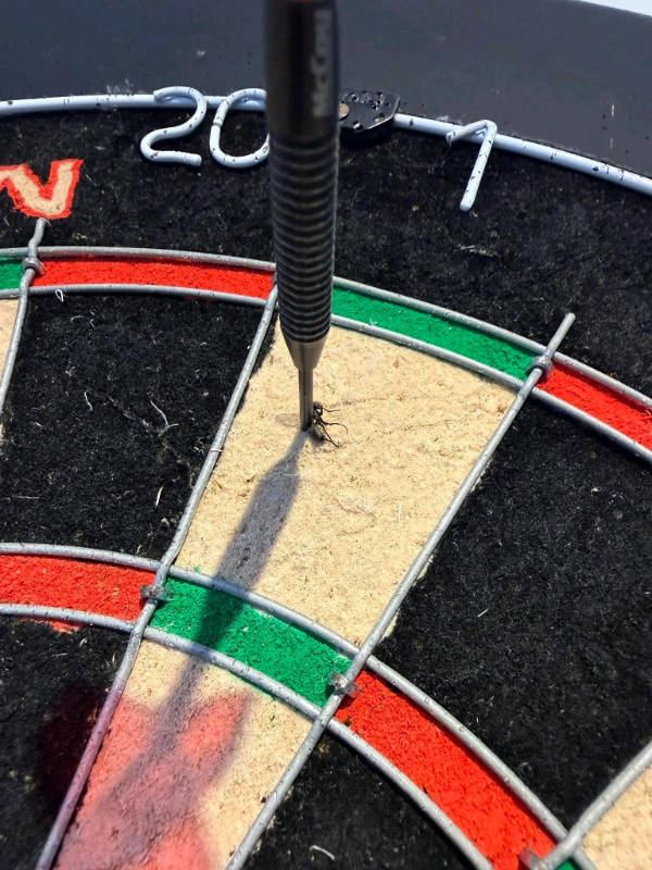 Unexpectedly Awesome Moments