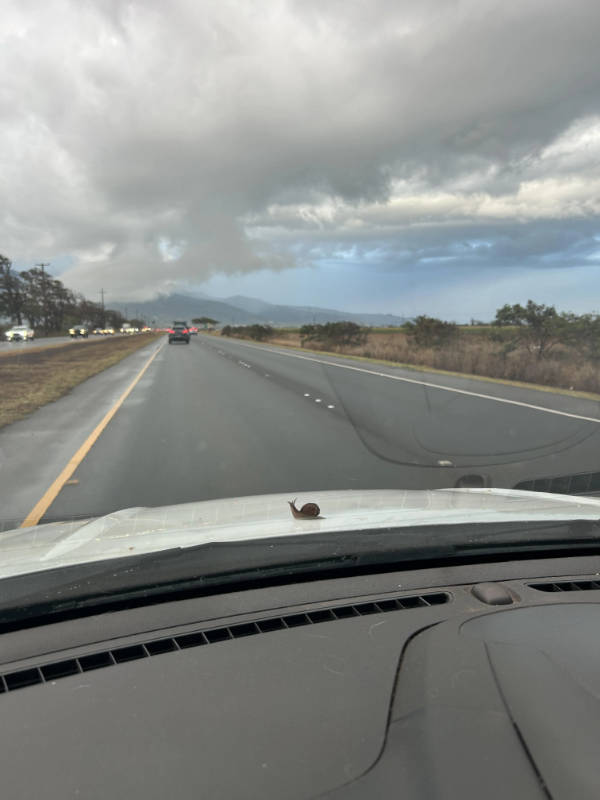 Unexpectedly Awesome Moments