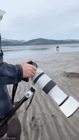 daily gifdump 53 gifs 8.html - 1 HD GIF | Premium Gallery 2026