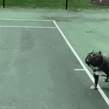 daily gifdump 53 gifs 8.html - 1 HD GIF | Premium Gallery 2026