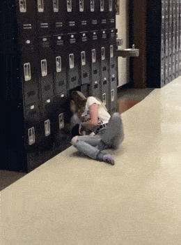 daily gifdump 53 gifs 8.html - 1 HD GIF | Premium Gallery 2026