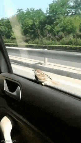 daily gifdump 53 gifs 8.html - 1 HD GIF | Premium Gallery 2026