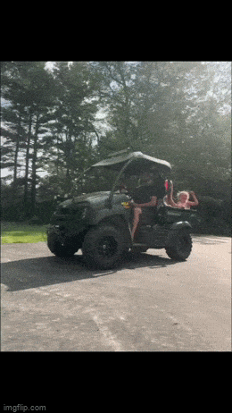 daily gifdump 53 gifs 8.html - 1 HD GIF | Premium Gallery 2026