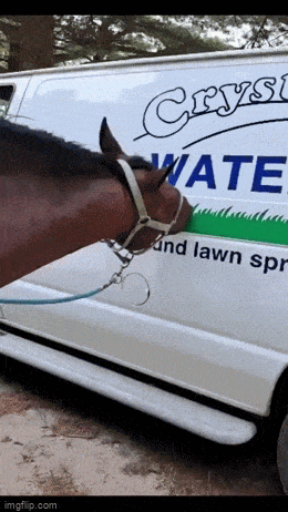 daily gifdump 53 gifs 8.html - 1 HD GIF | Premium Gallery 2026