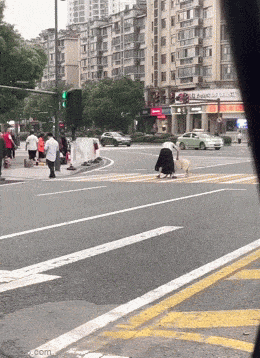 daily gifdump 53 gifs 8.html - 1 HD GIF | Premium Gallery 2026