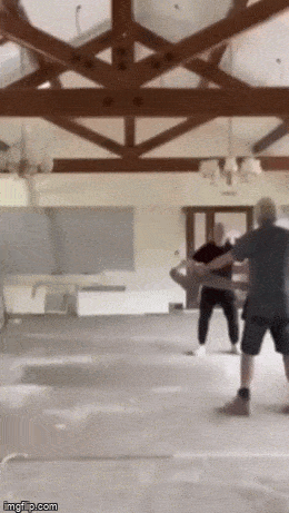 daily gifdump 53 gifs 8.html - 1 HD GIF | Premium Gallery 2026