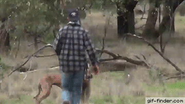 daily gifdump 53 gifs 8.html - 1 HD GIF | Premium Gallery 2026