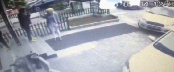 daily gifdump 53 gifs 8.html - 1 HD GIF | Premium Gallery 2026