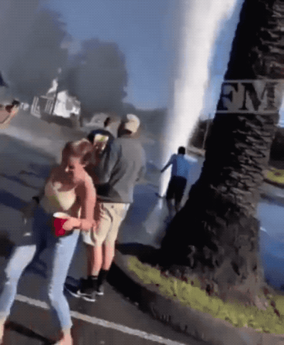 epic fails one gif at a time 24 gifs 7.html - 1 HD GIF | Premium Gallery 2026