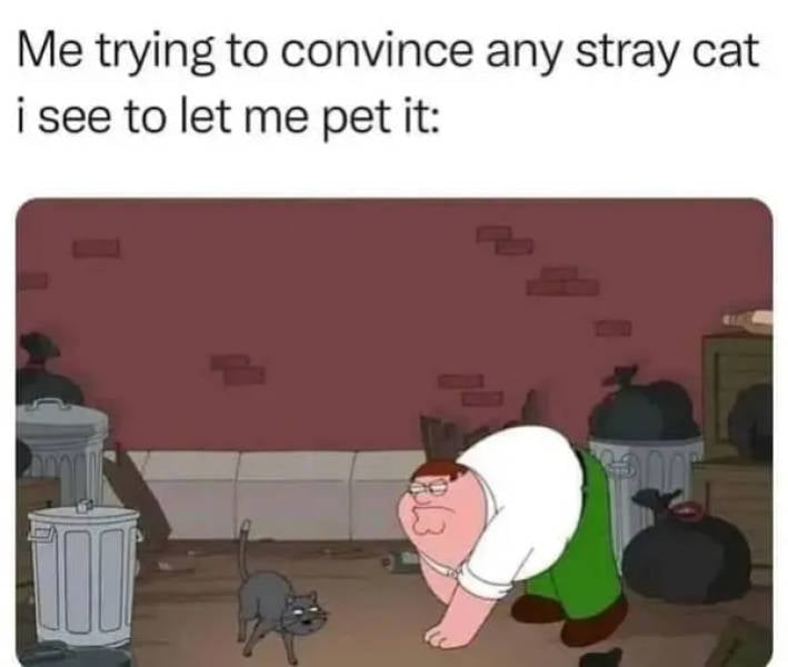 Memes That Hit a Little Too Close to Home