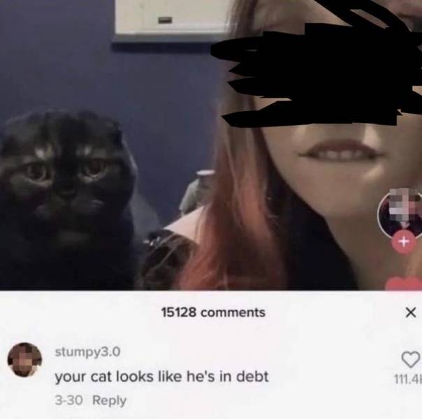 So Dumb It’s Actually Hilarious