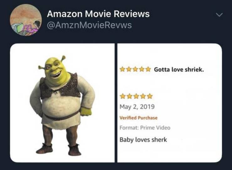 So Dumb It’s Actually Hilarious