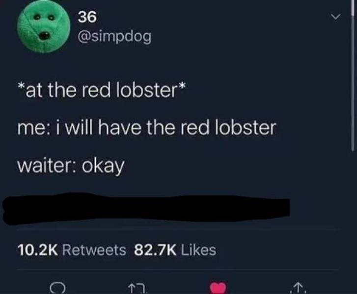 so dumb its actually hilarious 50 pics 1.html - 50 HD Photos | Premium Gallery 2026