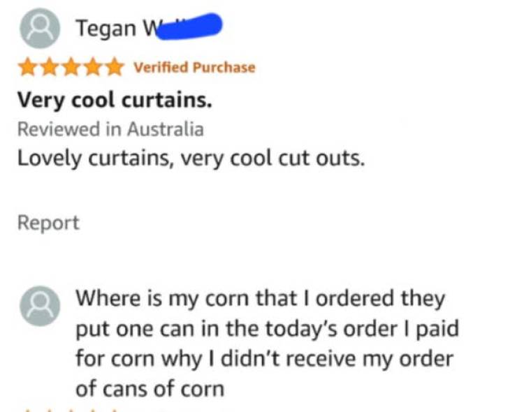 so dumb its actually hilarious 50 pics 1.html - 50 HD Photos | Premium Gallery 2026