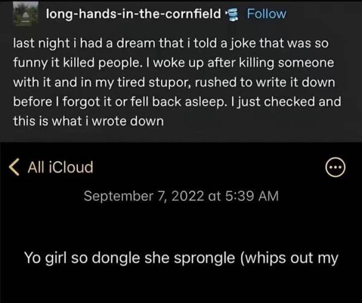 so dumb its actually hilarious 50 pics 1.html - 50 HD Photos | Premium Gallery 2026