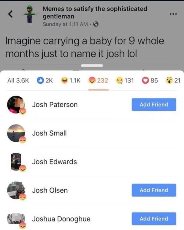 So Dumb It’s Actually Hilarious