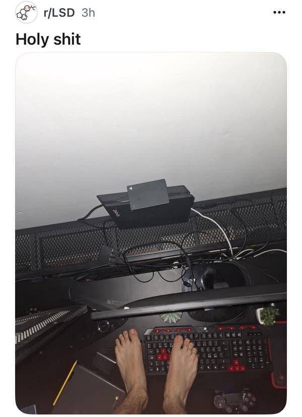 so dumb its actually hilarious 50 pics 1.html - 50 HD Photos | Premium Gallery 2026