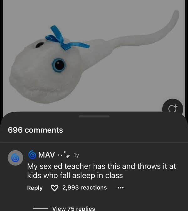 so dumb its actually hilarious 50 pics 1.html - 50 HD Photos | Premium Gallery 2026