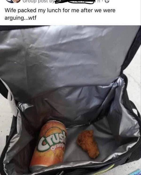 so dumb its actually hilarious 50 pics 1.html - 50 HD Photos | Premium Gallery 2026