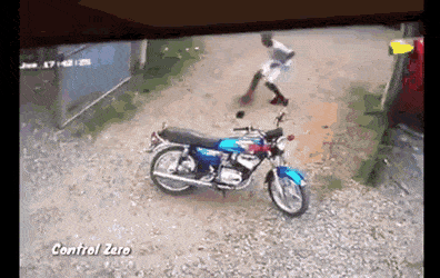 daily gifdump 52 gifs 6.html - 1 HD GIF | Premium Gallery 2026