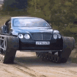 daily gifdump 52 gifs 6.html - 1 HD GIF | Premium Gallery 2026