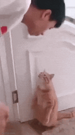 daily gifdump 52 gifs 6.html - 1 HD GIF | Premium Gallery 2026