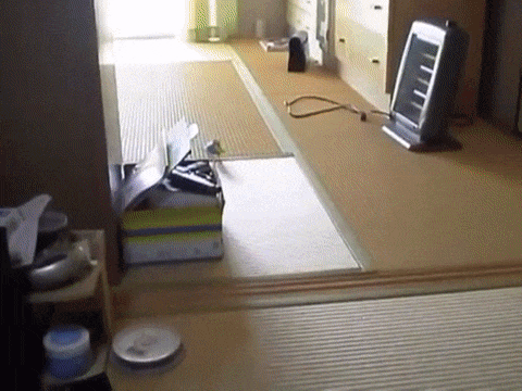 daily gifdump 52 gifs 6.html - 1 HD GIF | Premium Gallery 2026