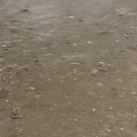 daily gifdump 52 gifs 6.html - 1 HD GIF | Premium Gallery 2026