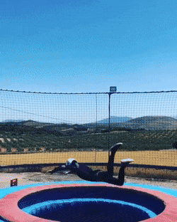 daily gifdump 52 gifs 6.html - 1 HD GIF | Premium Gallery 2026