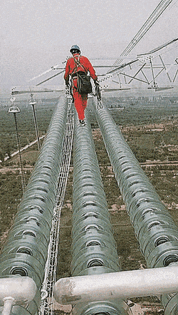 daily gifdump 52 gifs 6.html - 1 HD GIF | Premium Gallery 2026