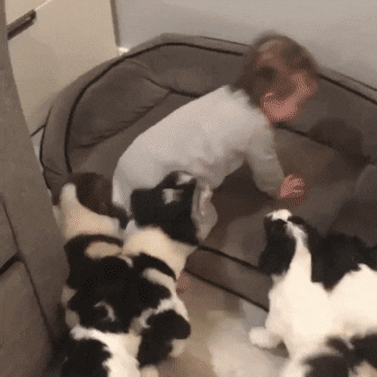 daily gifdump 52 gifs 6.html - 1 HD GIF | Premium Gallery 2026