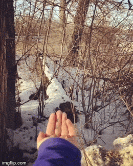 daily gifdump 52 gifs 6.html - 1 HD GIF | Premium Gallery 2026