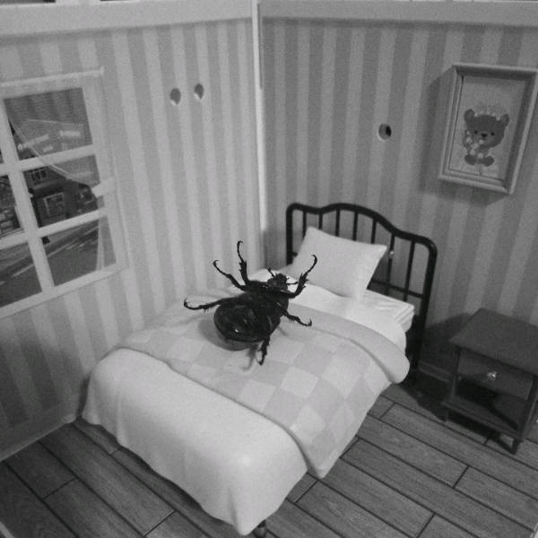 absolutely unexplainable photos 43 pics 4.html - 43 HD Photos | Premium Gallery 2026