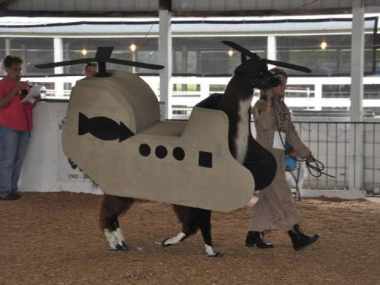 absolutely unexplainable photos 43 pics 4.html - 43 HD Photos | Premium Gallery 2026