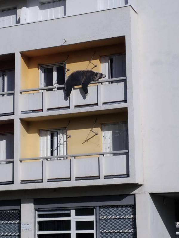 absolutely unexplainable photos 43 pics 4.html - 43 HD Photos | Premium Gallery 2026