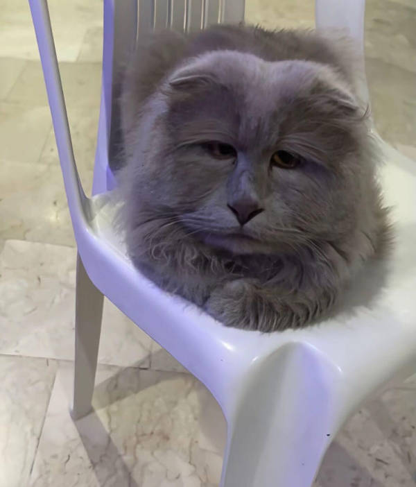 absolutely unexplainable photos 43 pics 4.html - 43 HD Photos | Premium Gallery 2026