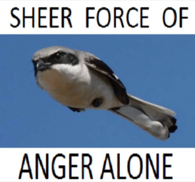 daily picdump 33 pics 14.html - 33 HD Photos | Premium Gallery 2026