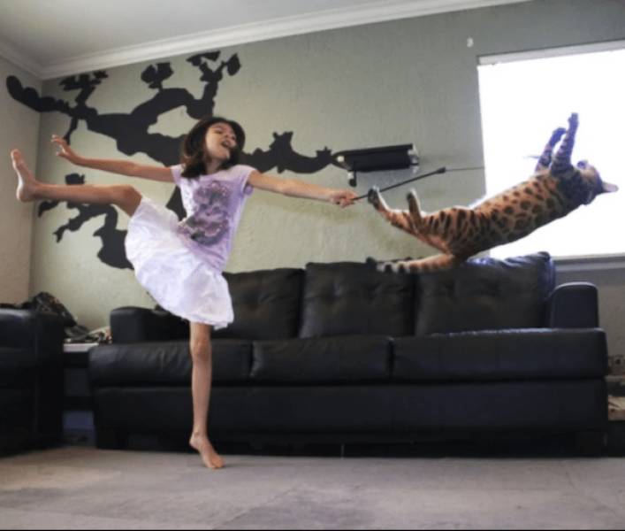 daily picdump 33 pics 14.html - 33 HD Photos | Premium Gallery 2026