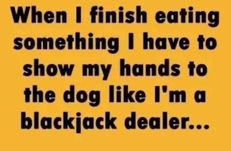 extra cheesy memes loaded with bacon 38 pics 2.html - 38 HD Photos | Premium Gallery 2026