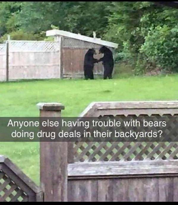 Extra Cheesy Memes Loaded With Bacon