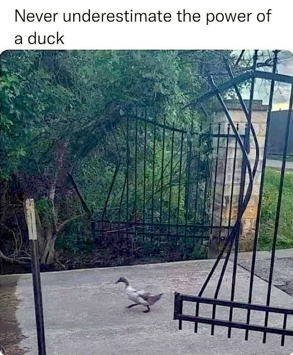 Extra Cheesy Memes Loaded With Bacon