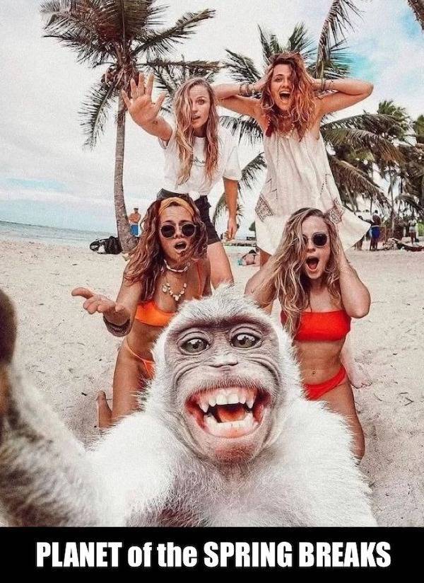 extra cheesy memes loaded with bacon 38 pics 2.html - 38 HD Photos | Premium Gallery 2026