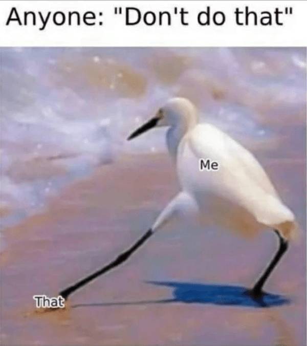 extra cheesy memes loaded with bacon 38 pics 2.html - 38 HD Photos | Premium Gallery 2026