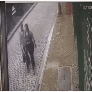 daily gifdump 47 gifs 6.html - 1 HD GIF | Premium Gallery 2026