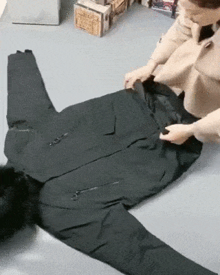 daily gifdump 47 gifs 6.html - 1 HD GIF | Premium Gallery 2026