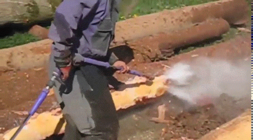 daily gifdump 47 gifs 6.html - 1 HD GIF | Premium Gallery 2026