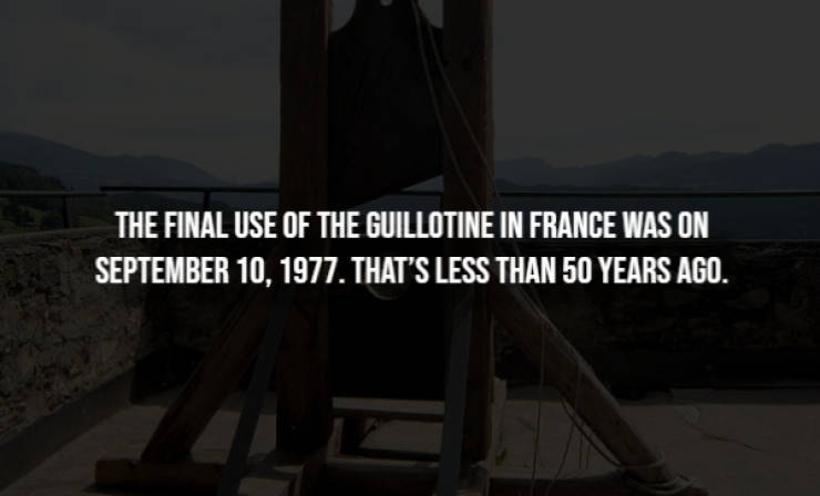 Creepy Facts That Will Haunt Your Thoughts