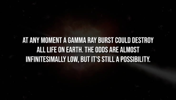 Creepy Facts That Will Haunt Your Thoughts